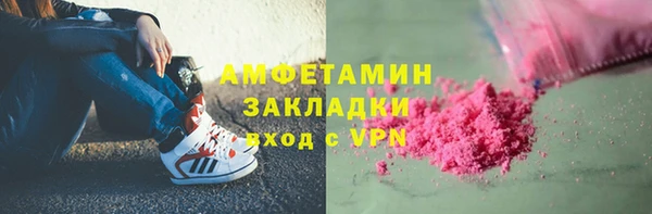 шишки Слюдянка