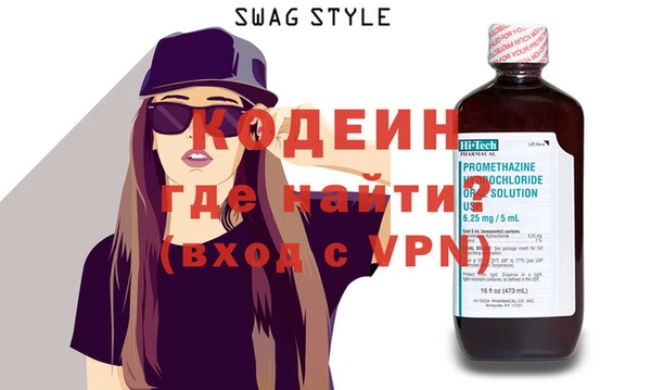 шишки Слюдянка