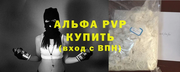 твердый Абаза