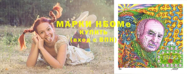 твердый Абаза