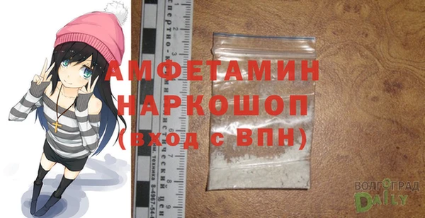 шишки Слюдянка