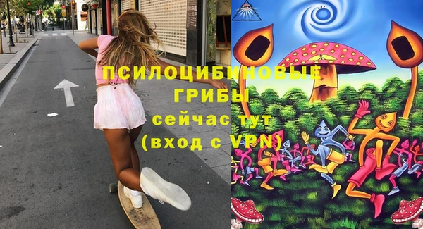 PSILOCYBIN Снежинск