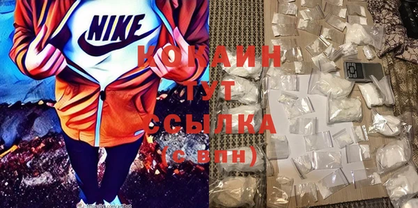 твердый Абаза