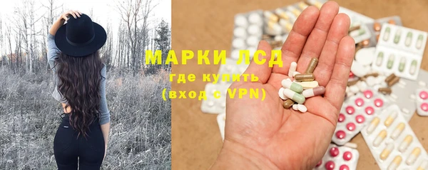 PSILOCYBIN Снежинск