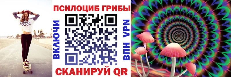 Псилоцибиновые грибы Magic Shrooms Ефремов